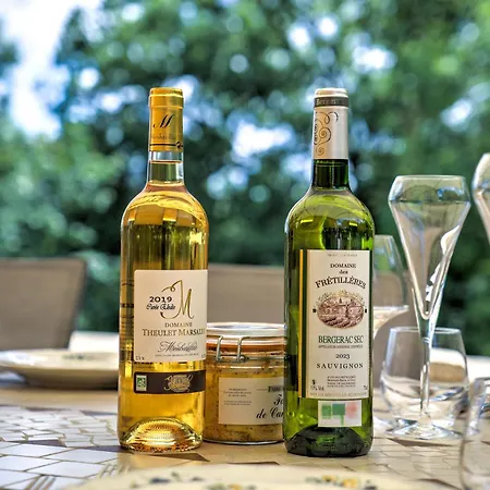 Les Hauts De Chaunac - Le Manoir Holiday home Vitrac (Dordogne)