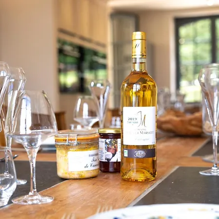Les Hauts De Chaunac - Le Manoir Holiday home *