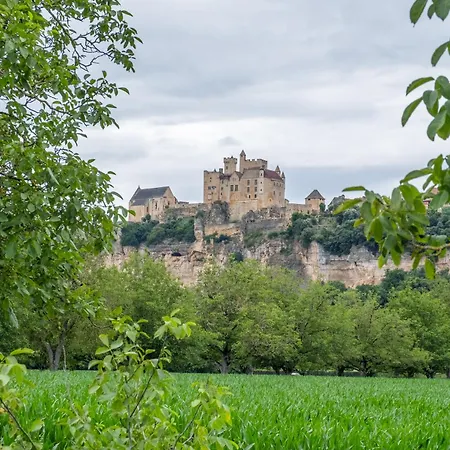 Les Hauts De Chaunac - Le Manoir *